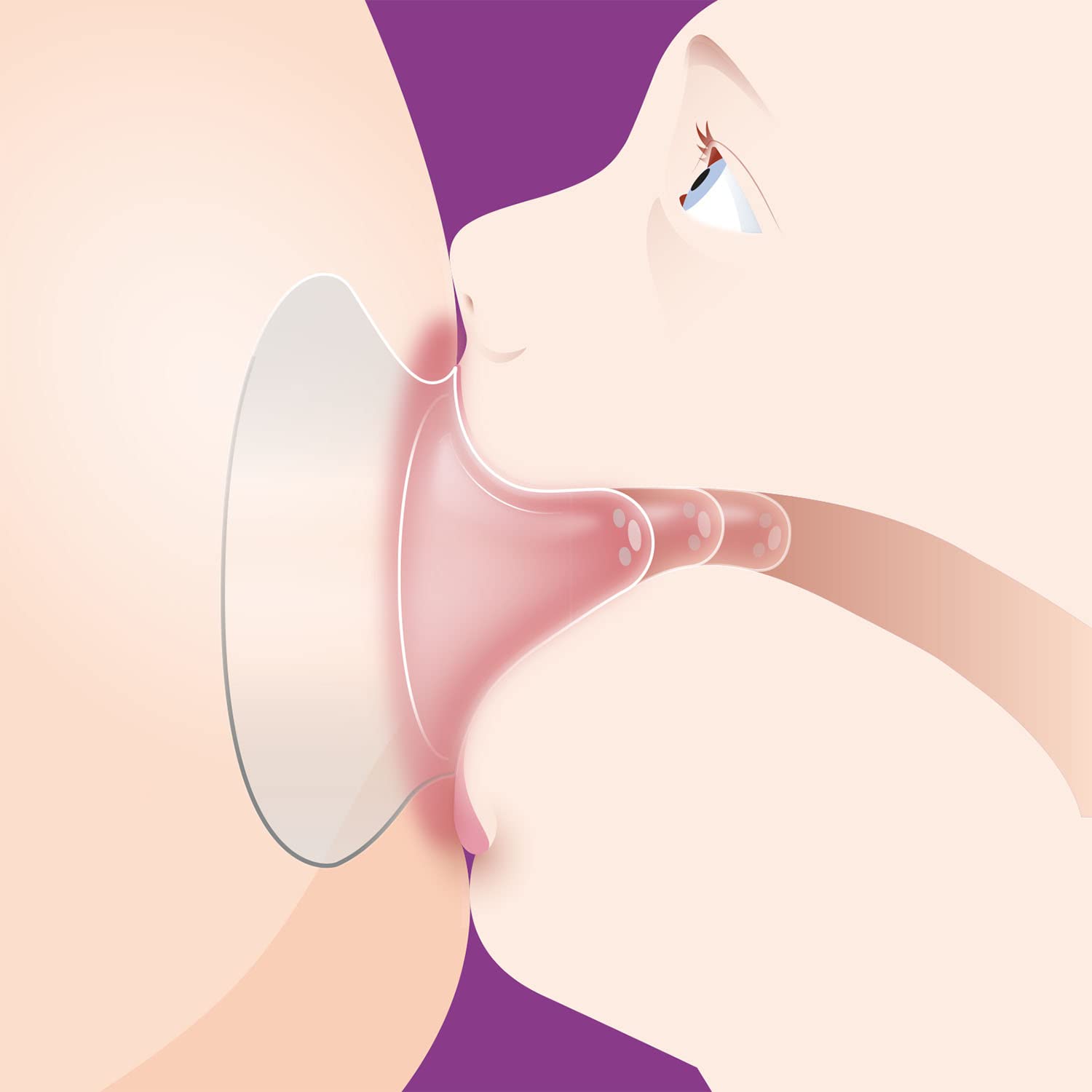 philips-avent-paracapezzoli-per-allattamento-15-mm-2-pezzi-30-g-design-a-farfall image 6