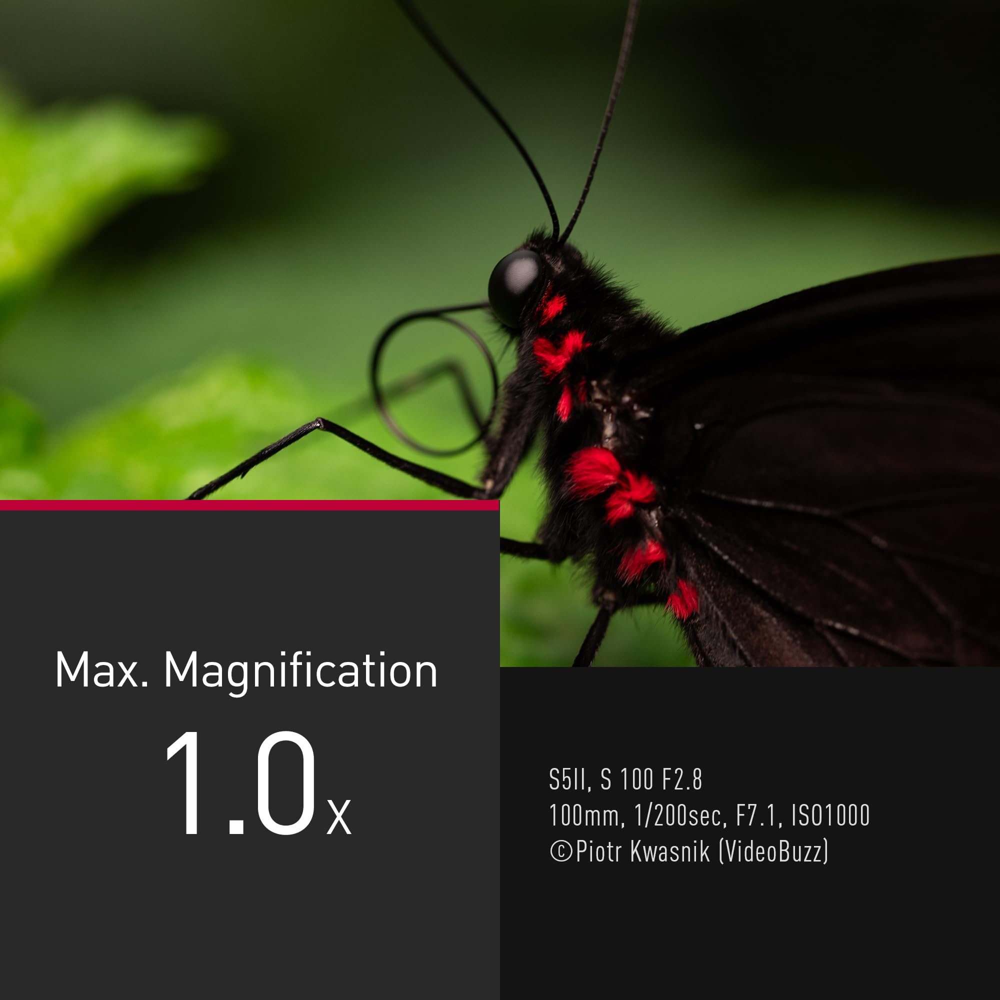 panasonic-lumix-s-e100-100mm-f2-8-macro-obiettivo-full-frame-l-mount-298-g-ingra image 5