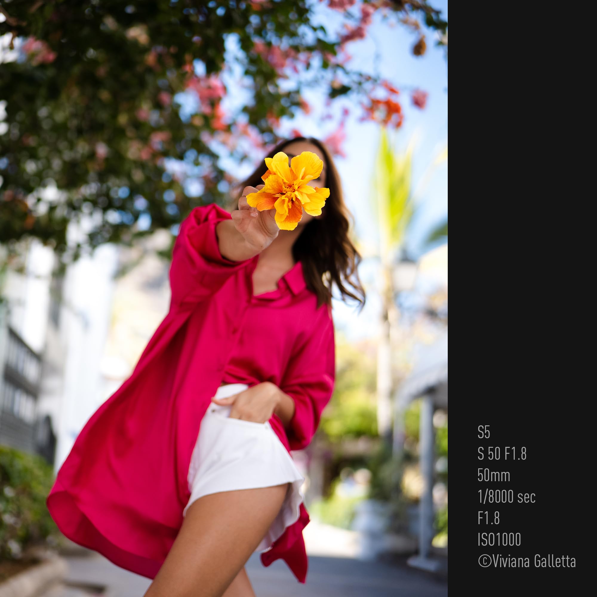 panasonic-lumix-s-s50-50-mm-f1-8-obiettivo-full-frame-lumix-s-apertura-luminosa- image 6