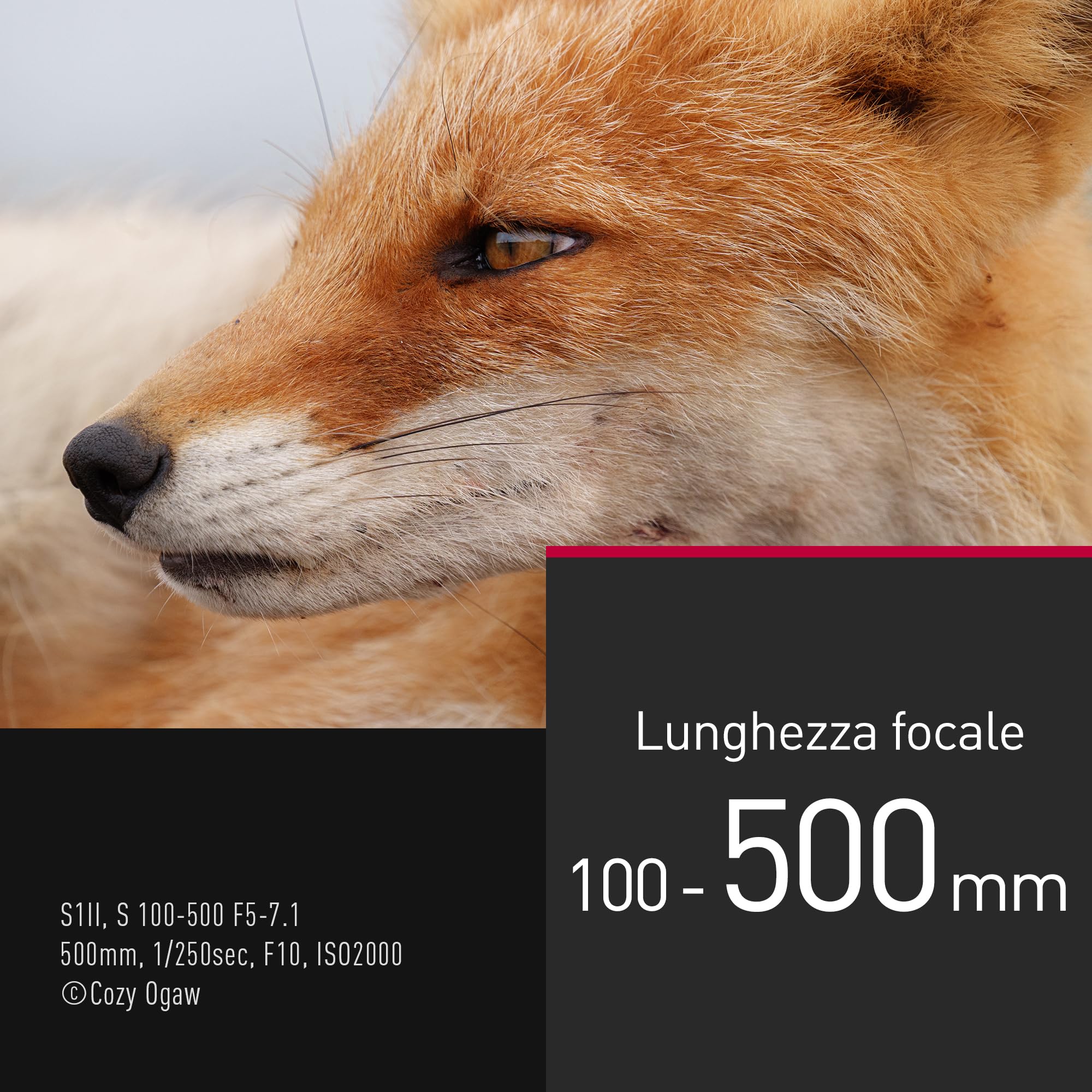 panasonic-lumix-s-r100500e-100-500-mm-f5-7-1-o-i-s-l-mount-teleobiettivo-zoom-fu image 3