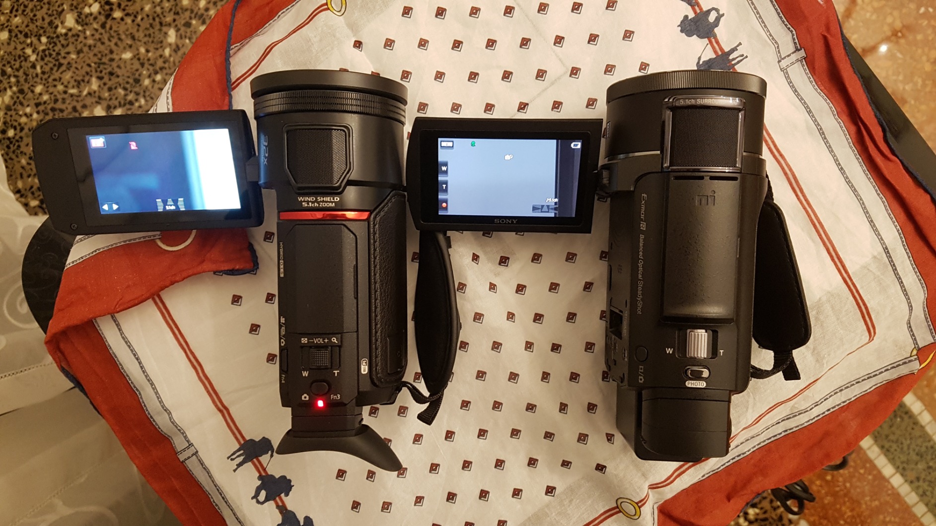 Ottima per il vlogging familiare