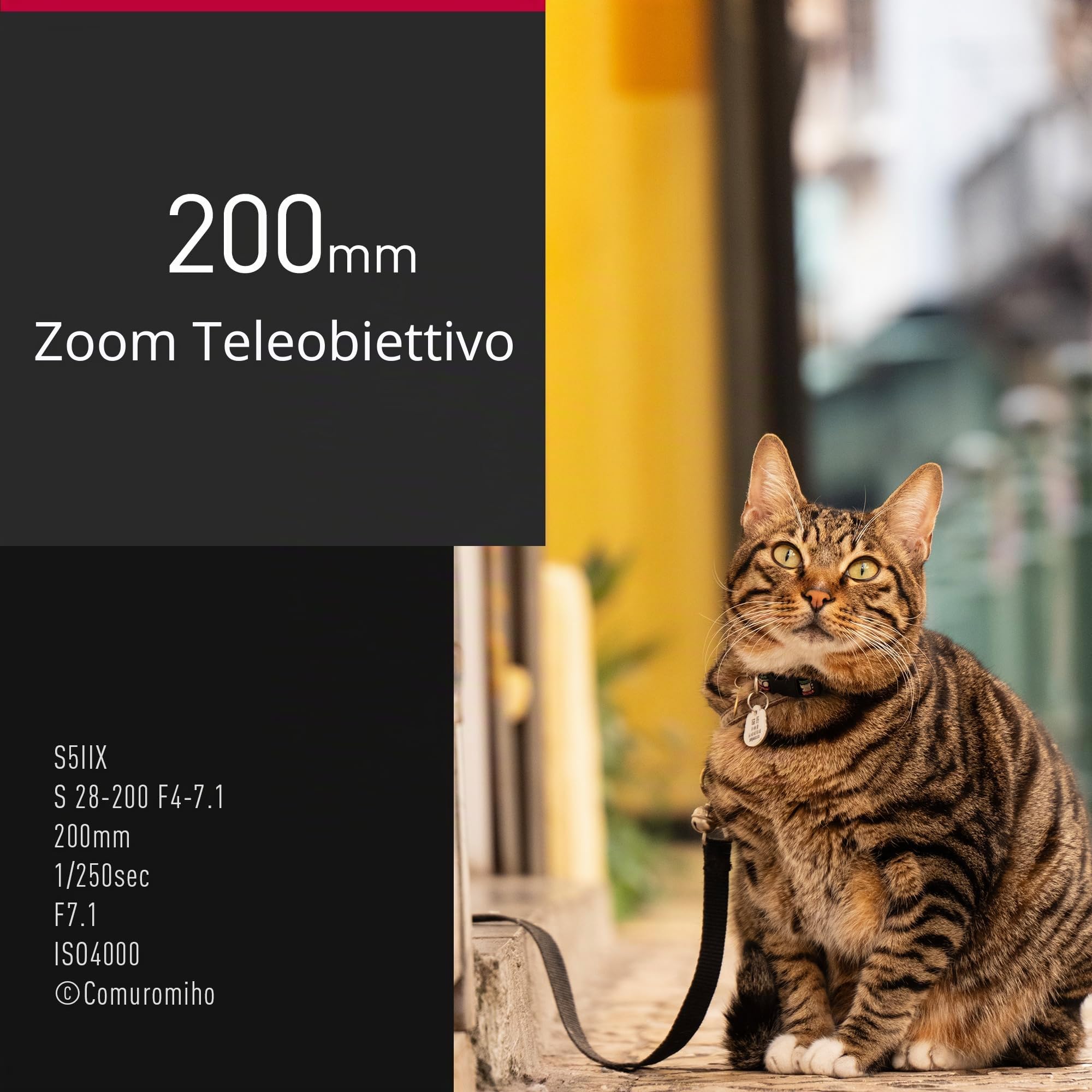 panasonic-lumix-s-r28200e-28-200mm-f4-0-7-1-macro-ois-obiettivo-zoom-full-frame- image 8