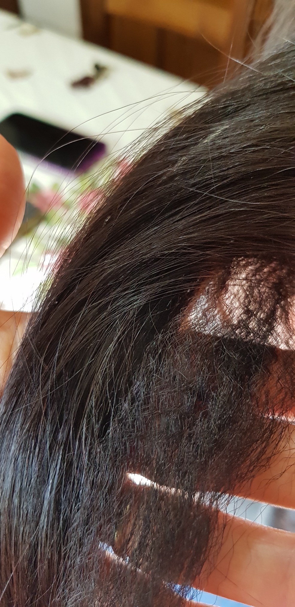 Mia figlia ne è entusiasta